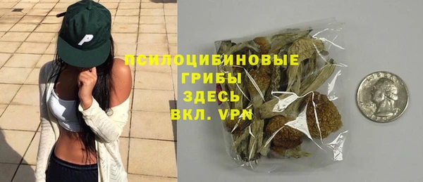 бошки Верея