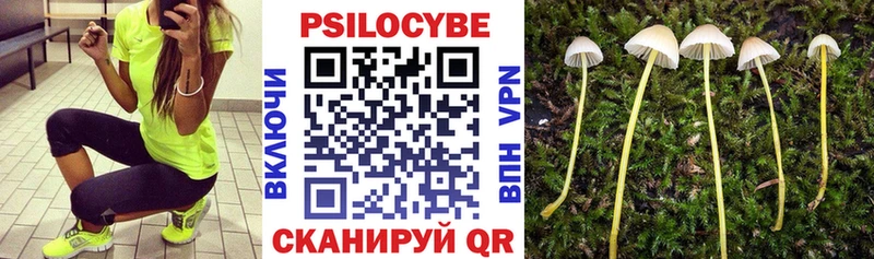 ОМГ ОМГ ссылки  Екатеринбург  Псилоцибиновые грибы GOLDEN TEACHER 