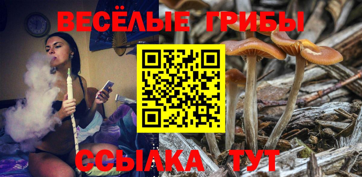 Екатеринбург  Галлюциногенные грибы Psilocybe  Псилоцибиновые грибы прущие грибы  Вход с VPN 