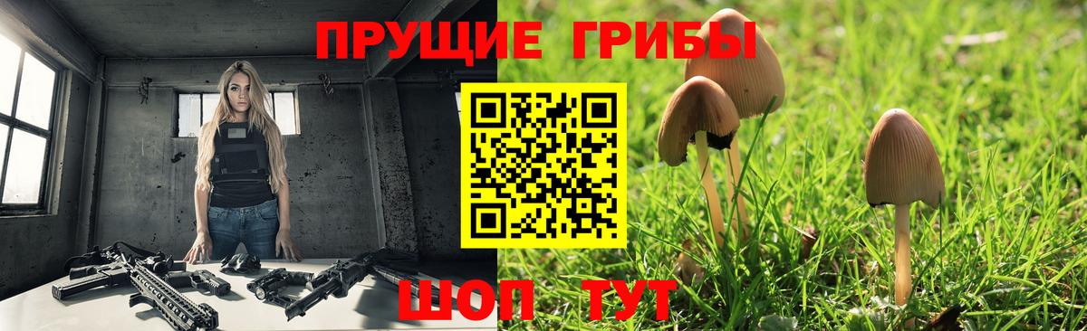 Галлюциногенные грибы MAGIC MUSHROOMS Екатеринбург
